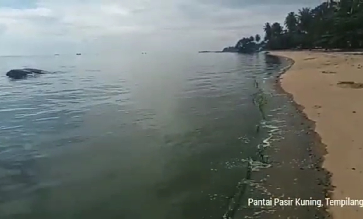 Air Pantai Pasir Kuning Berubah Hijau, Kok Bisa? 