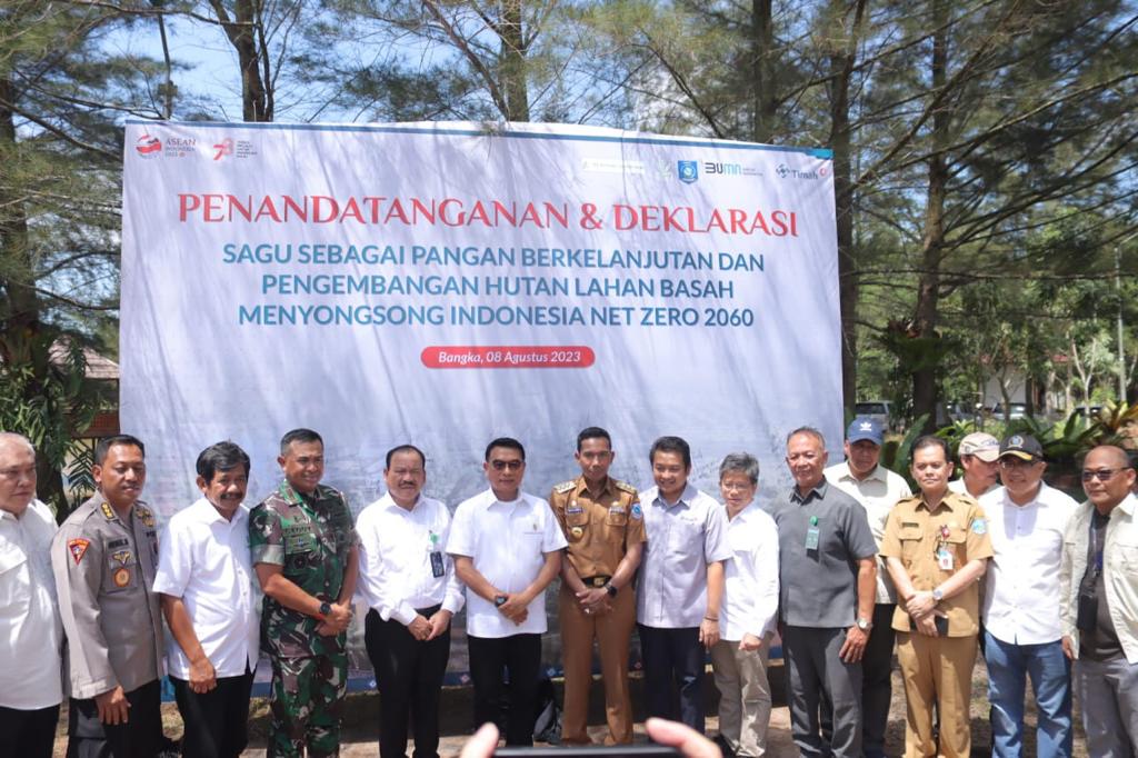 Penanaman Sagu Jadi Solusi Pengolahan Lahan Bekas Tambang