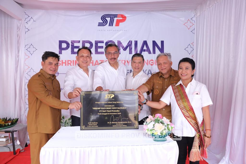 Adanya Shrimp Hatchery Bisa Penuhi Permintaan Pasar Benur Vaname