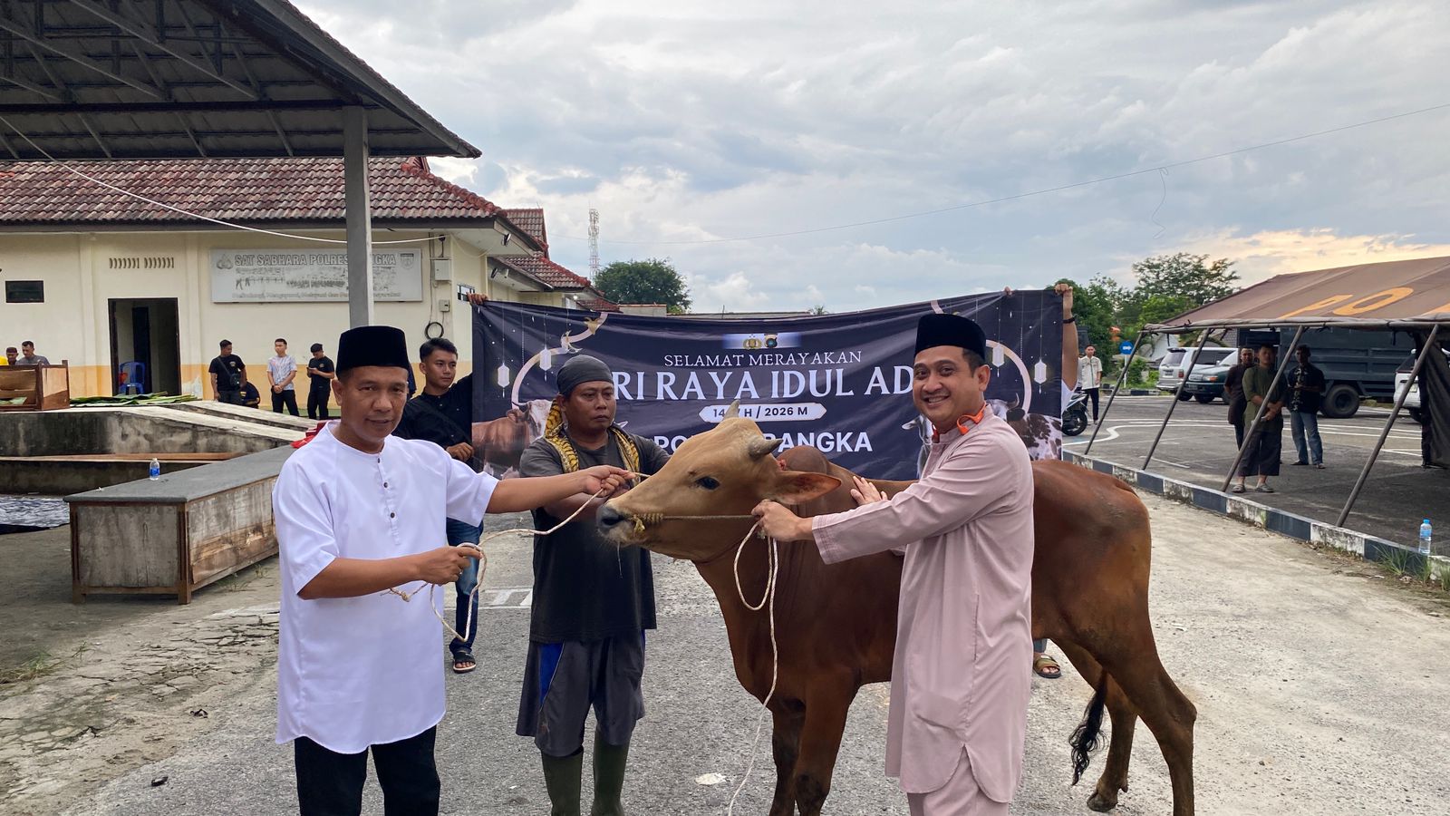 Semangat Berbagi di Idul Adha 1447 H, Polres Bangka Sembelih Delapan Hewan Kurban