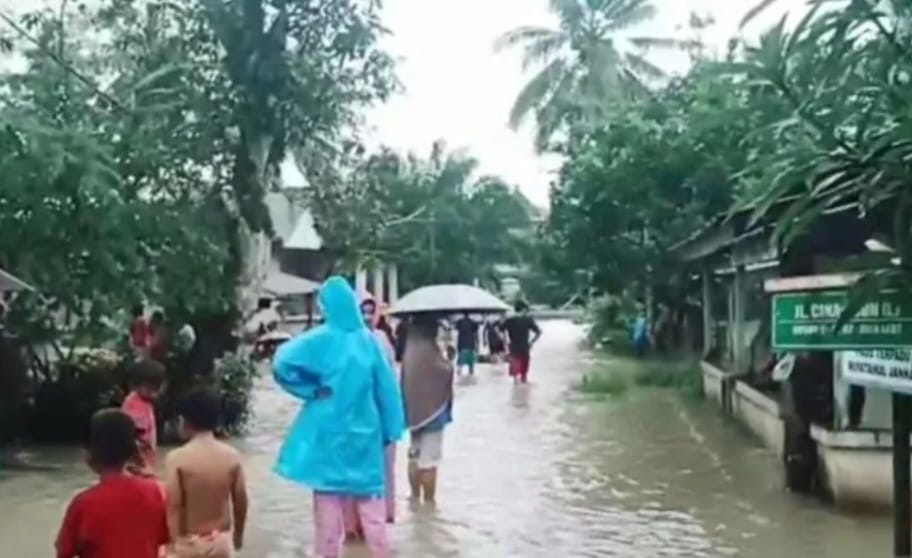 Warga di Lokasi Banjir Mentok Diminta Waspadai Buaya dan Ular