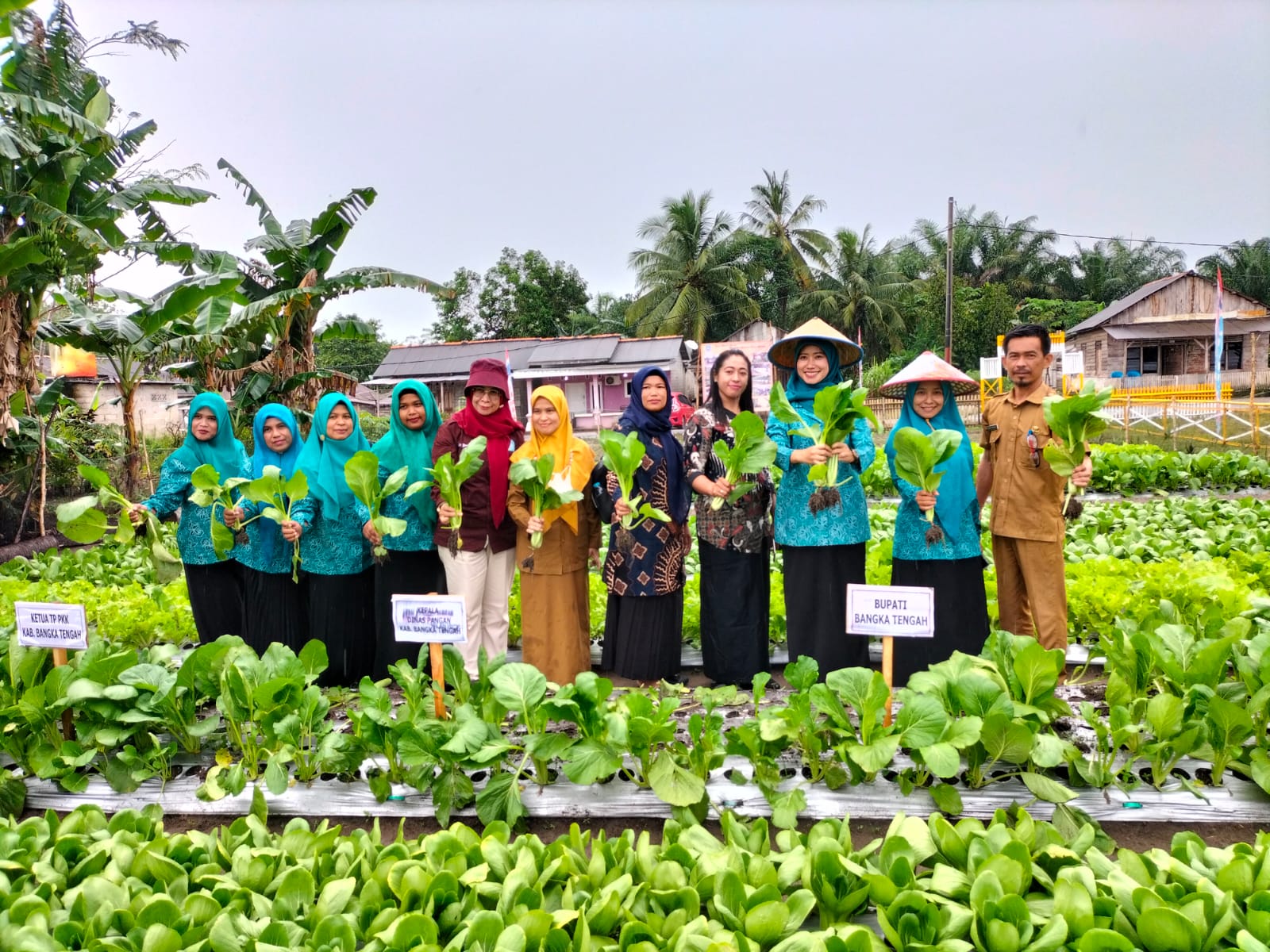 Tiga KWT di Desa Lubuk Pabrik Ramaikan Lomba KWT Tingkat Kabupaten Bateng 