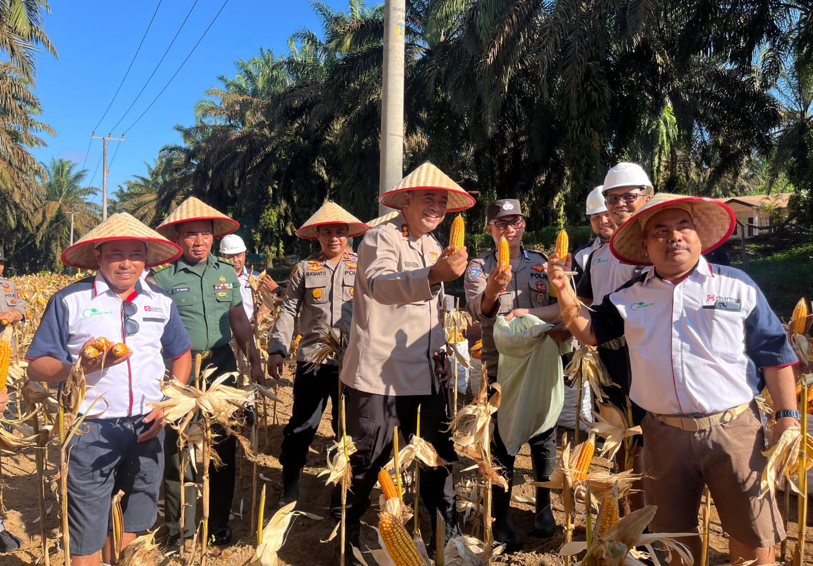 Dukung Ketahanan Pangan Daerah, Kapolres Bangka Tengah kembali panen jagung