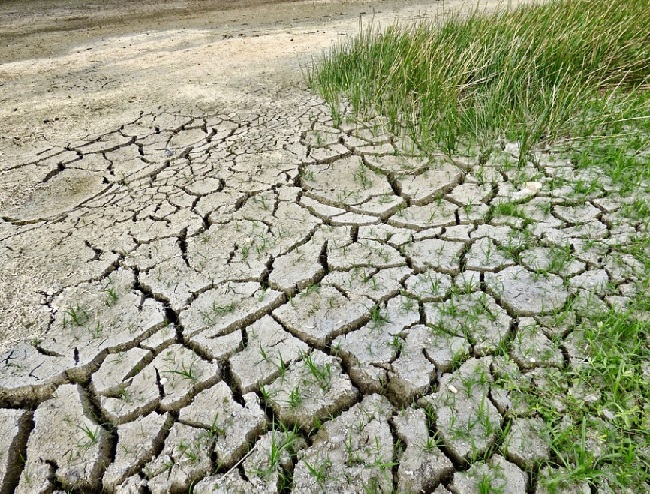 Elnino Mengancam Mulai Mei 2023, Awas Kekeringan, Waspada Daerah-daerah Berikut.. Termasuk Babel...