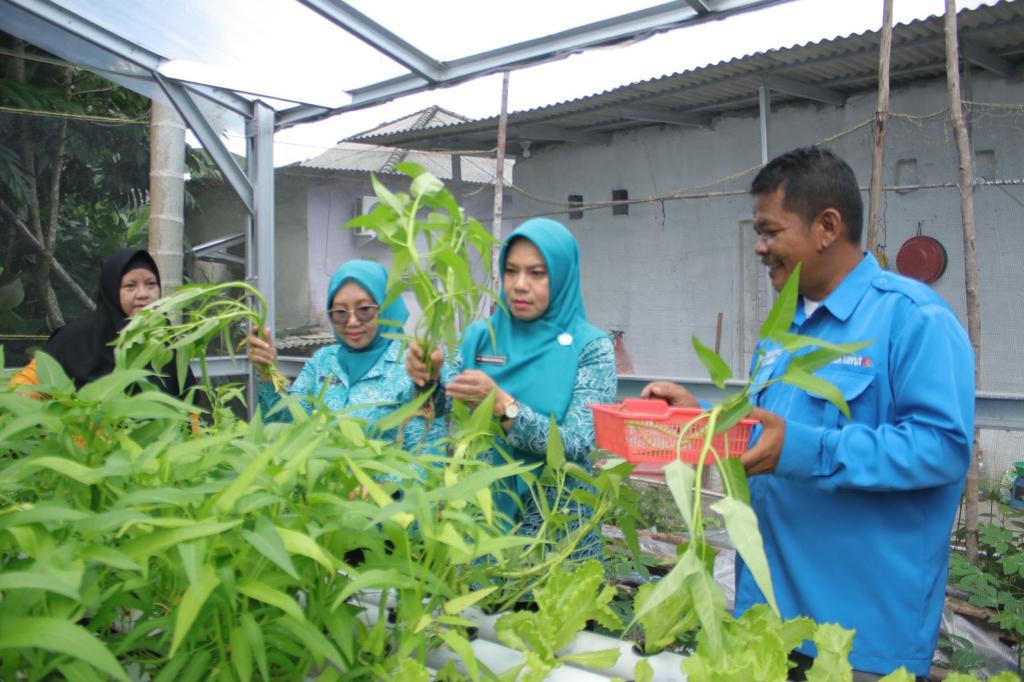 Safriati Safrizal: Kelompok Wanita Tani Babel Bisa Jaga Ketahanan Pangan Keluarga 