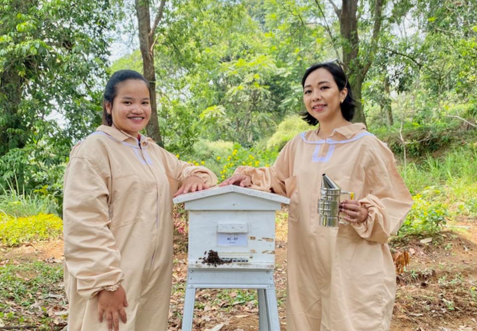 UMKM Madu Lokal Naik Kelas! Tembus Pasar Global Berkat Dukungan BRI