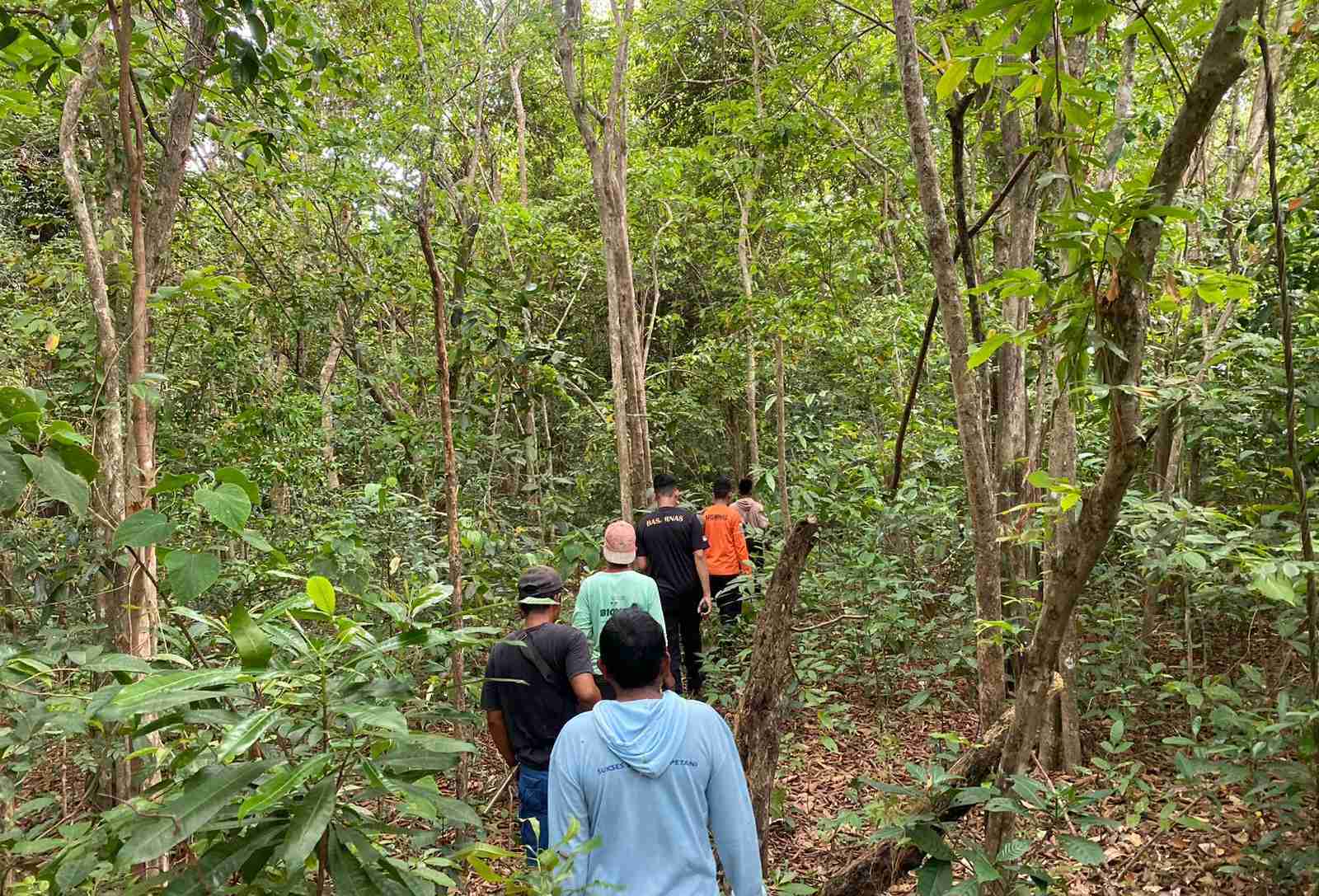 Nenek 81 Tahun Hilang di Kebun Sadai