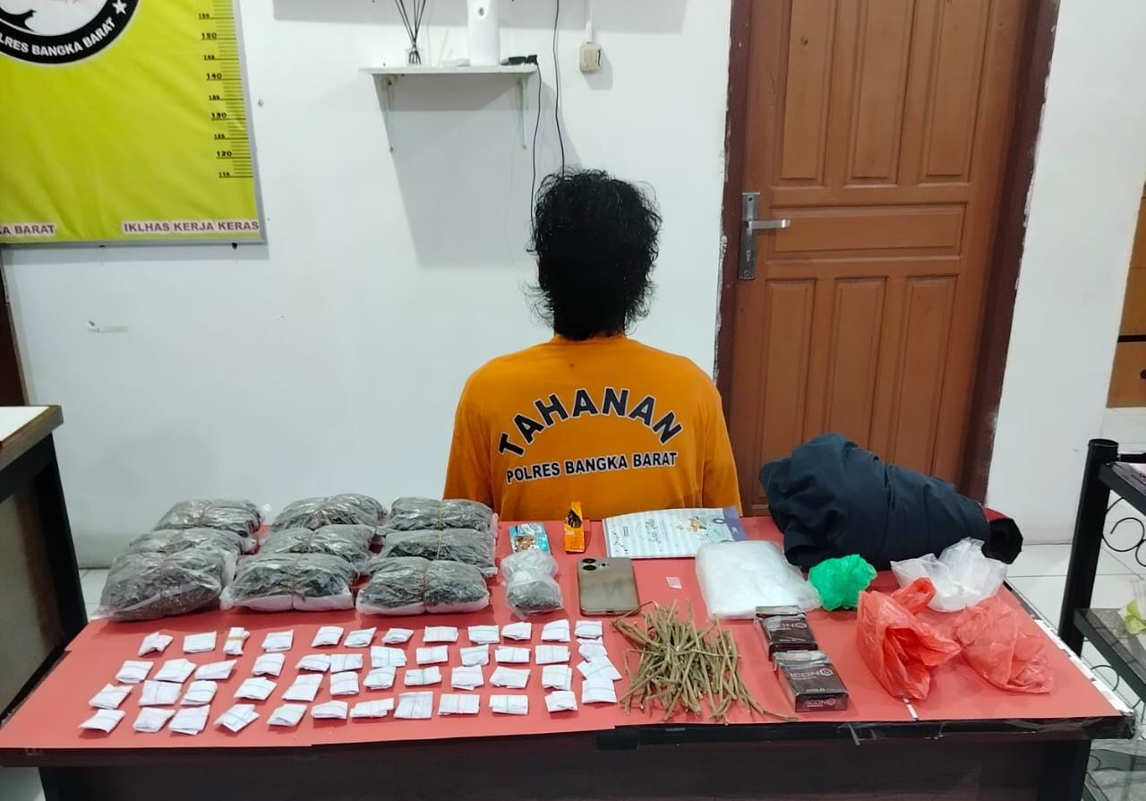 Sat Resnarkoba Polres Bangka Barat Ringkus Pengedar Sabu Dan Ganja