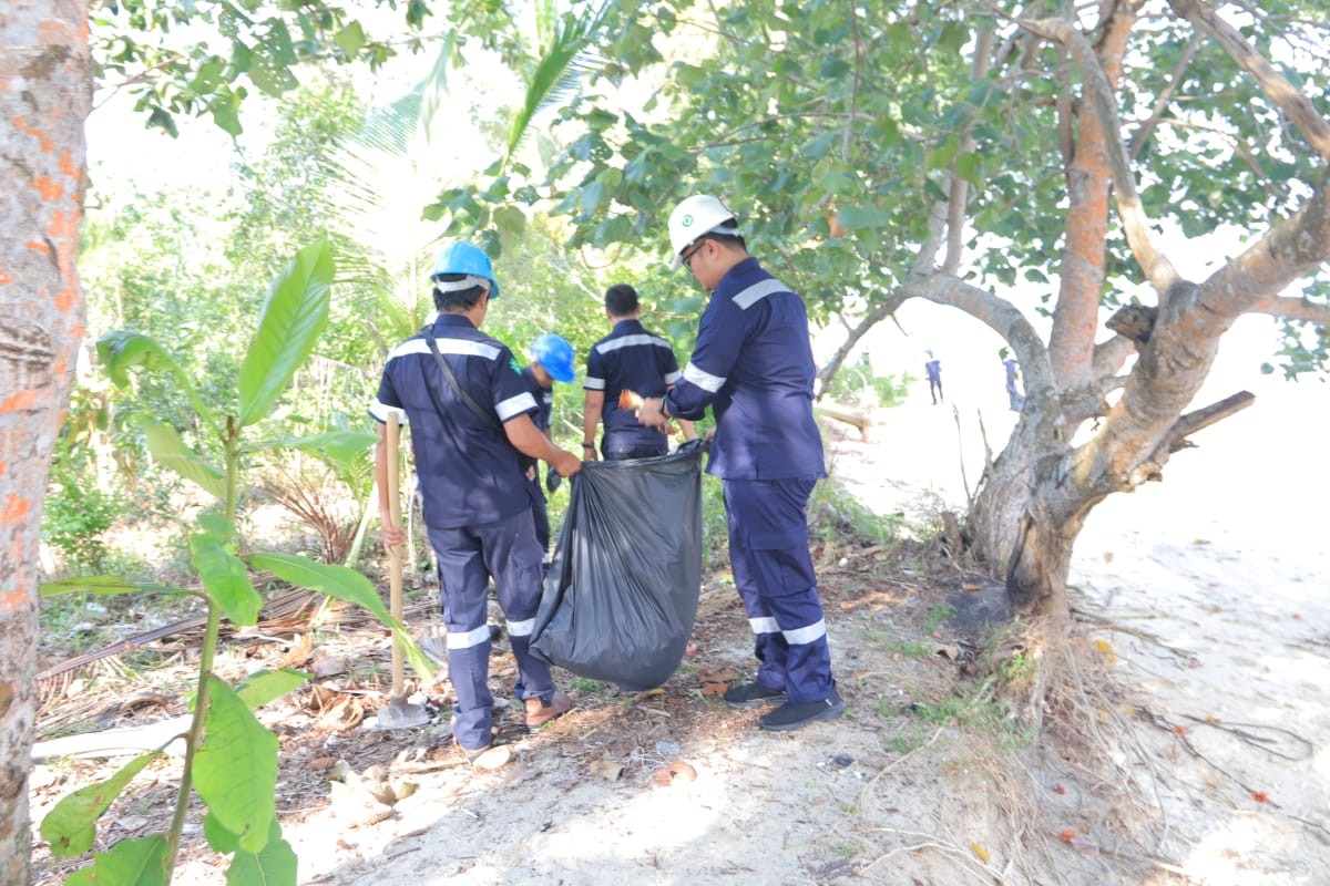 Hari Lingkungan Hidup Sedunia, PT Timah Gelar Aksi Nyata Kumpulkan Sampah Plastik Hingga Tanam Pohon di Pantai
