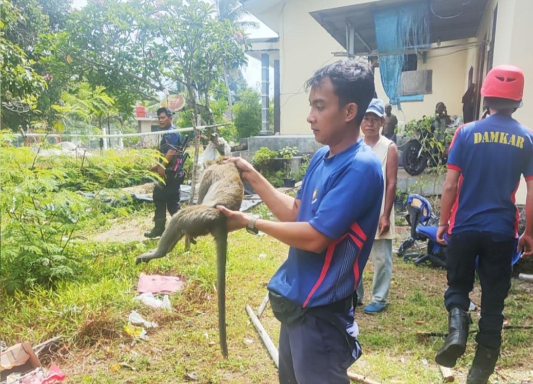 Tak Hanya Padamkan Api, Damkar Bangka Evakuasi Monyet Hingga Buka Pintu Mobil Terkunci 