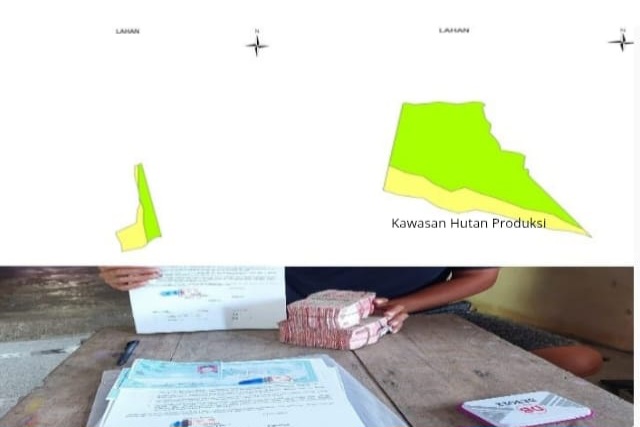 Diduga Puluhan Hektar Hutan Produksi Pergam Dijual Oknum Setempat