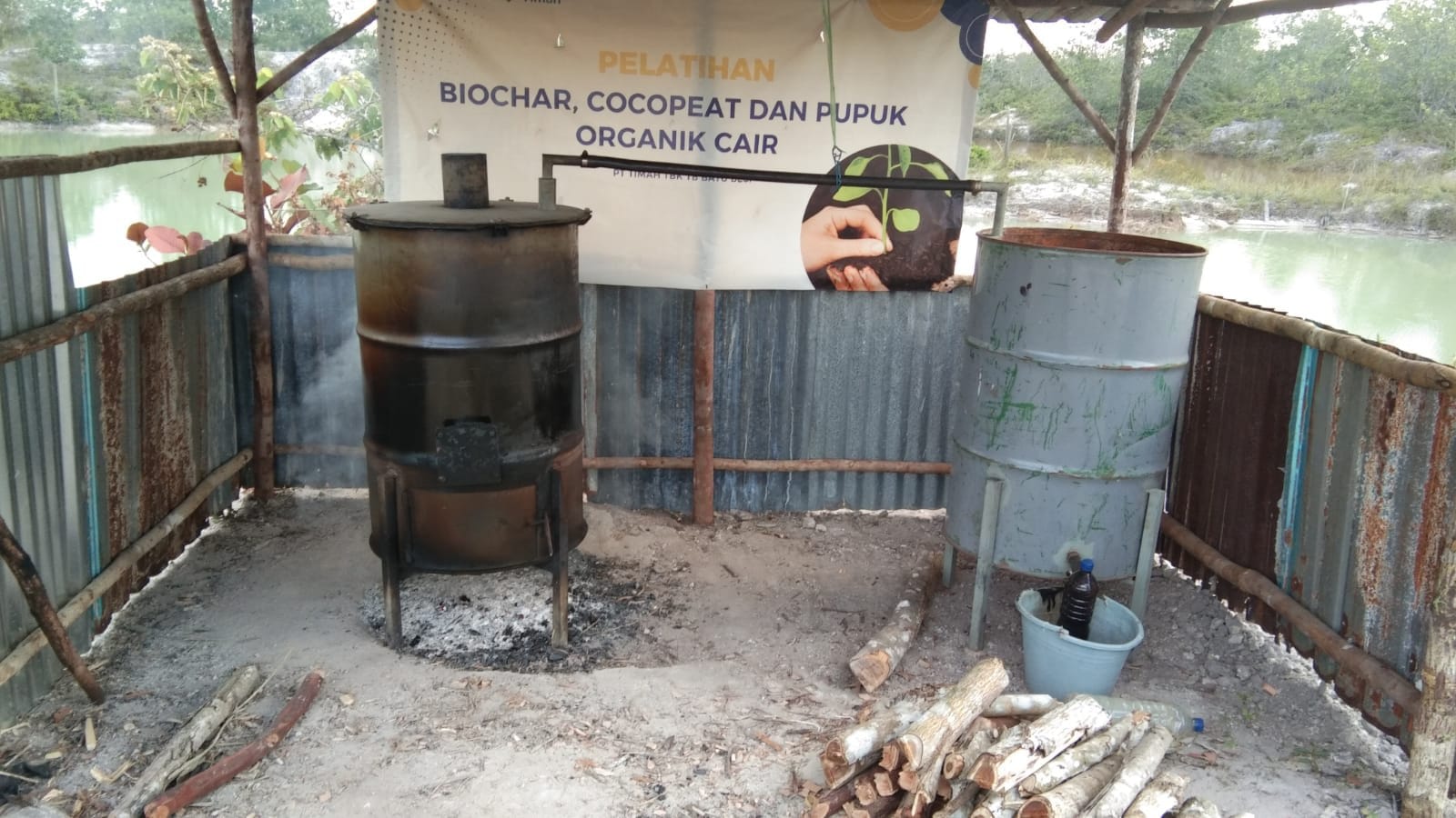 Dampak Baik Pelatihan Pupuk Cair PT Timah Tbk, Buah Nanas Poktan Air Jelutung Mulai Tumbuh Besar