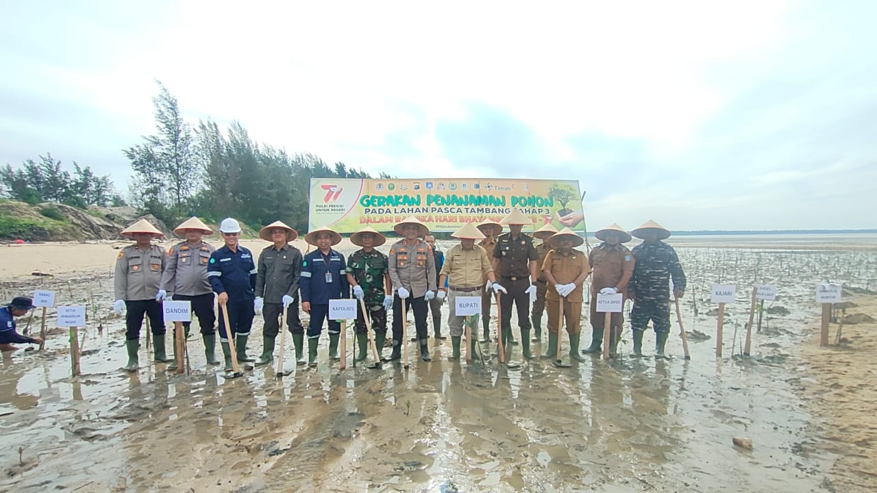 Meriahkan HUT 77 Bhayangkara, Forkopimda Babar Tanam Ribuan Mangrove di Lahan Eks Tambang