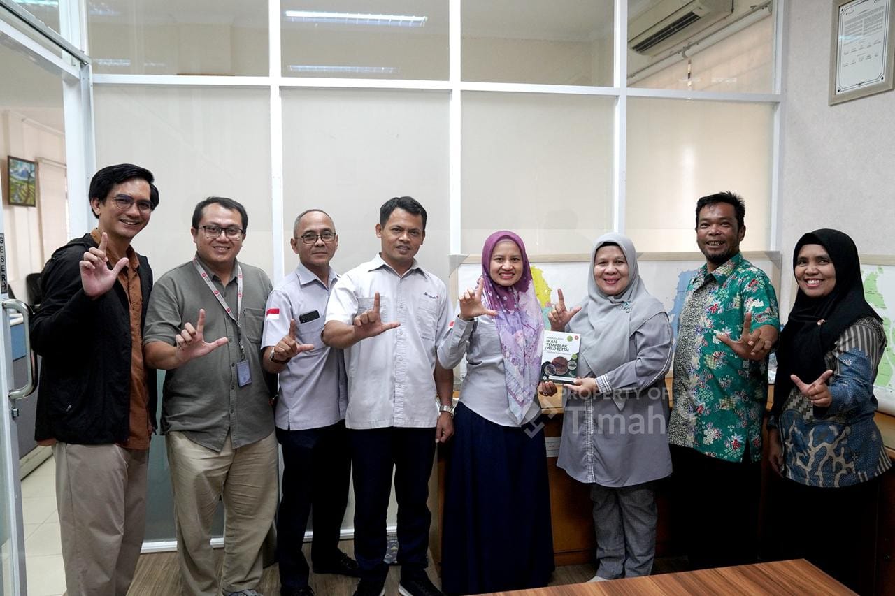 PT TIMAH Dukung Penelitian Ikan Endemik Bangka, Perkuat Konservasi Betta Burdigala yang Terancam Punah
