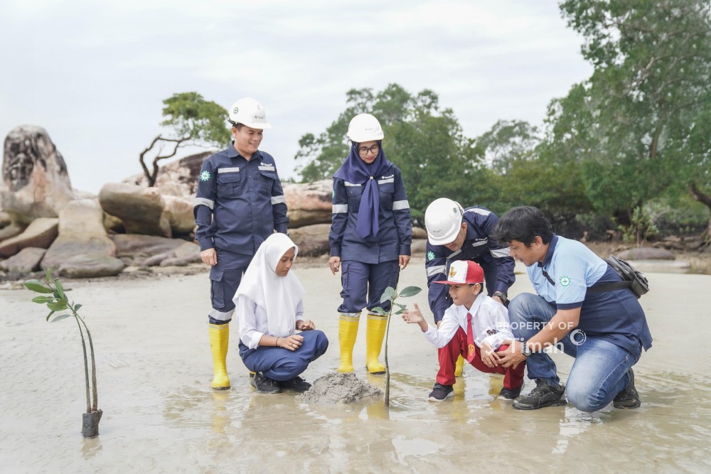 Edukasi Pelajar Soal Lingkungan, PT Timah Tbk Tanamkan Kepedulian Lewat Program Mangrove
