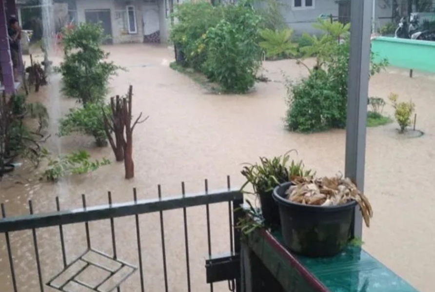BPBD Babel Imbau Masyarakat Waspada Serangan Buaya di Daerah Banjir