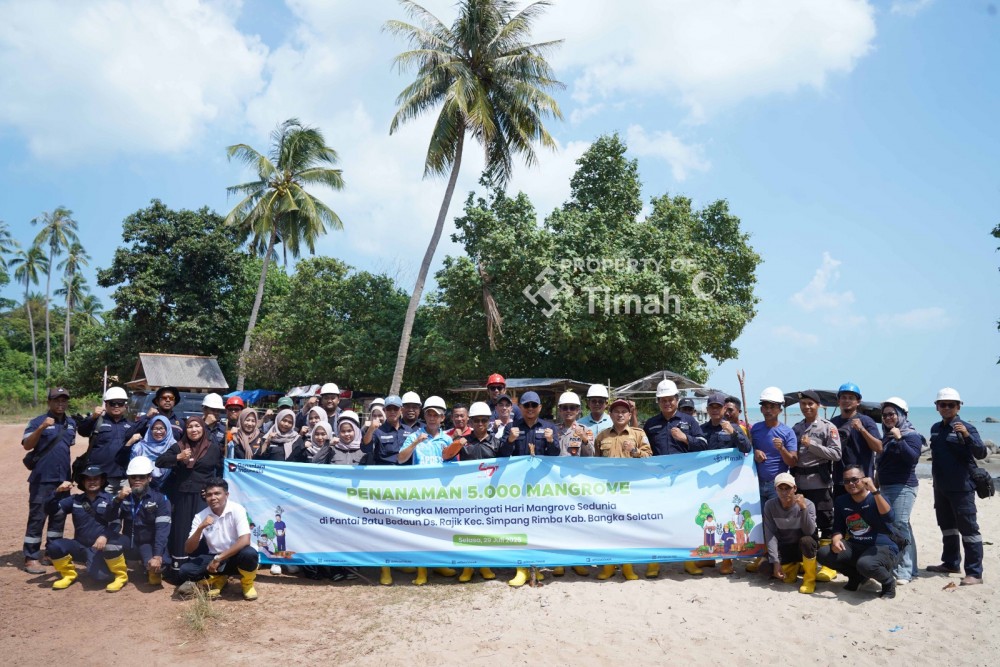 PT Timah Kolaborasi dengan Karang Taruna Desa Rajik Tanam Ribuan Mangrove