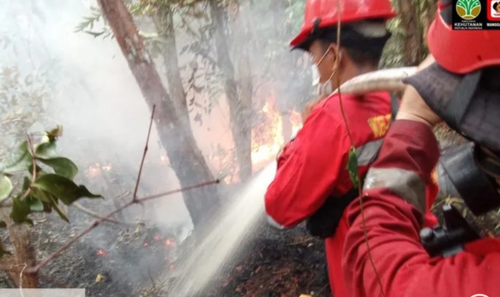 Manggala Agni Berjibaku Padamkan Karhutla Hutan Lindung Mapur