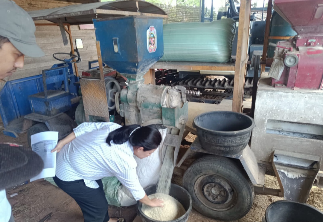Rina Tarol DPRD Babel Minta Pemda Benahi Sektor Pertanian