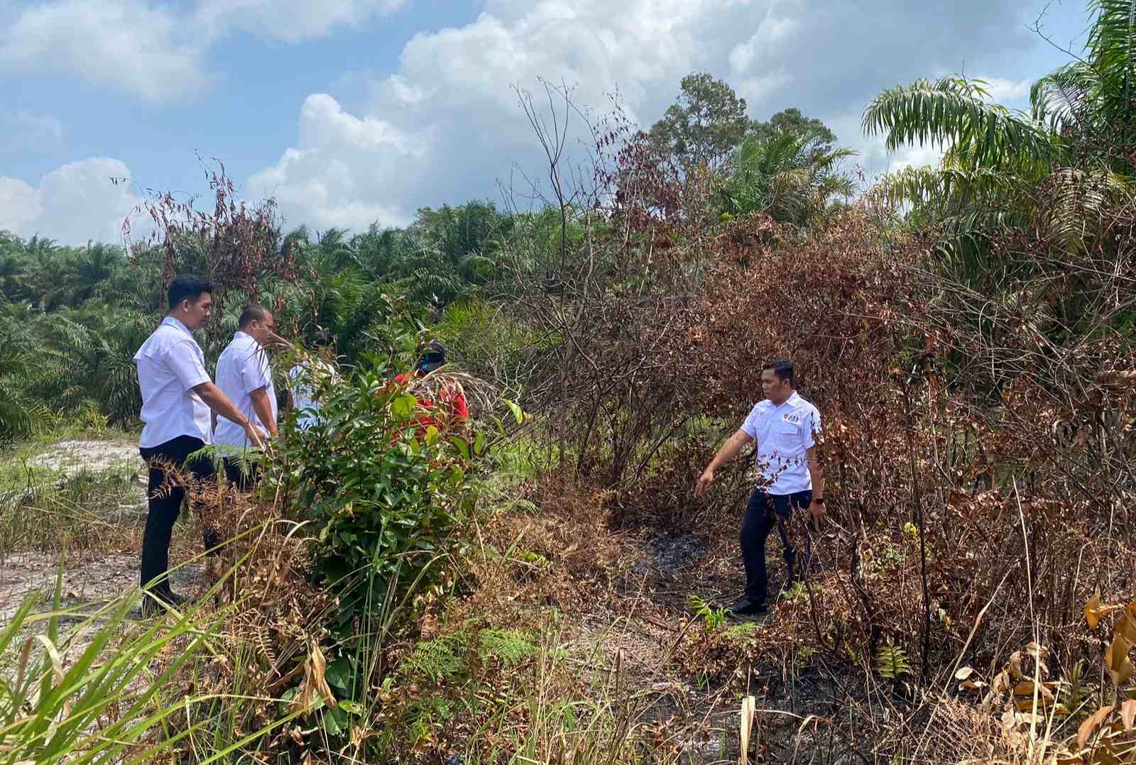 Aksi Cabulnya Diketahui Teman Korban, Predator Anak di Mendo Barat Sembunyi di Kebun