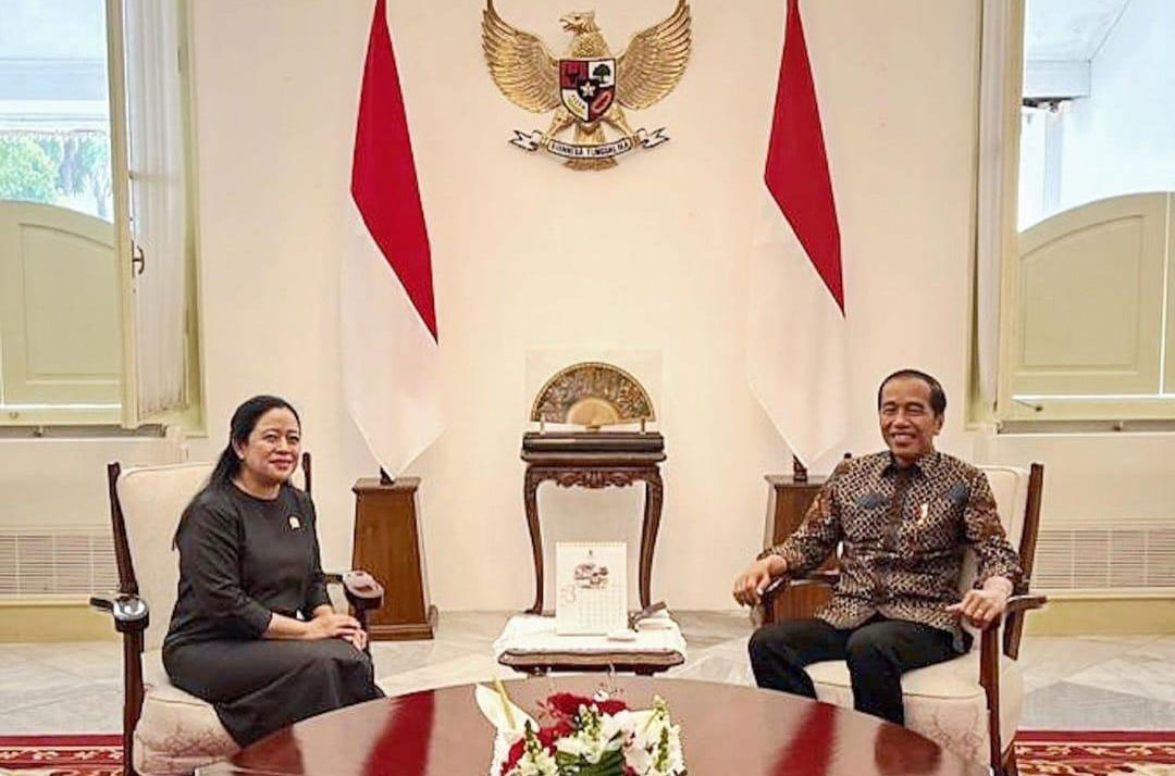 Dialog dengan Jokowi, Puan Maharani Perkuat Sinergi Legislatif & Eksekutif