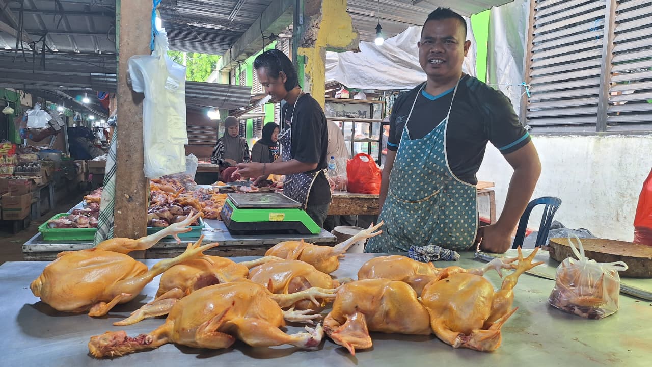 Awal September Harga Daging Ayam Naik di Pasar Terminal Toboali, Segini Harganya