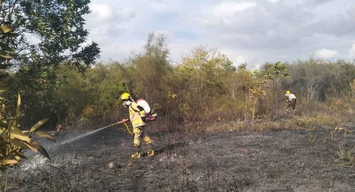 Karhutla Januari 2026 di Beltim Meluas, 23 Hektare Lahan Terbakar di Sejumlah Desa