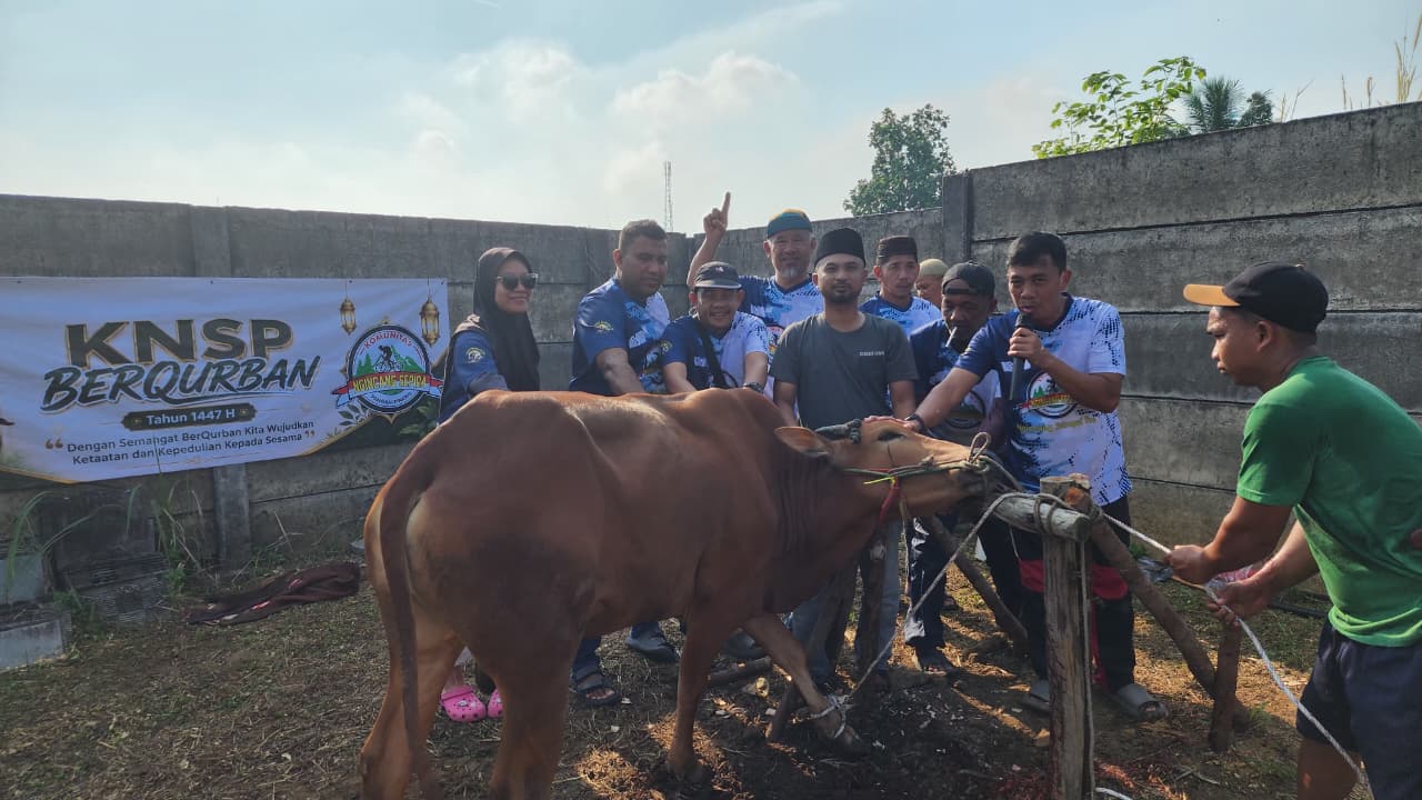 Tahun ini KNSP feat Seperadik Kurban 2 Ekor Sapi  