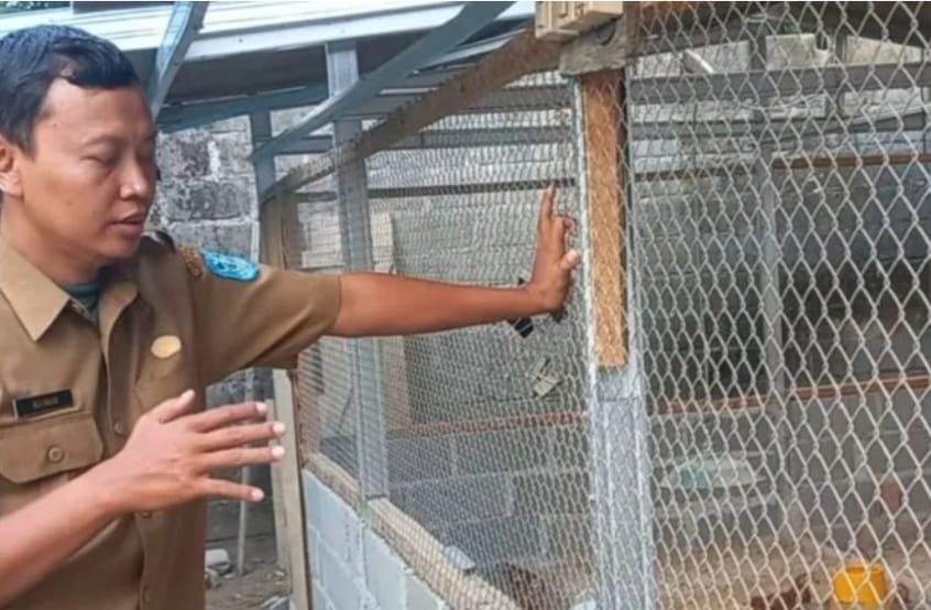 Peternak Unggas di Bangka Diminta Jaga Kebersihan Kandang