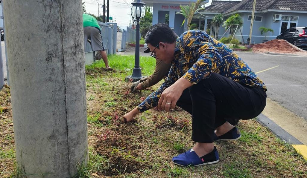 Miliki Banyak Khasiat, Lapas Pangkalpinang Budidaya Krokot Topyari Merah