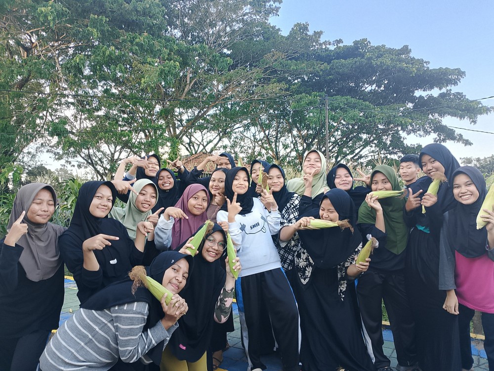 Siswa Pemali Boarding School PT Timah Panen Jagung, Dukung Ketahanan Pangan dan Edukasi Lingkungan