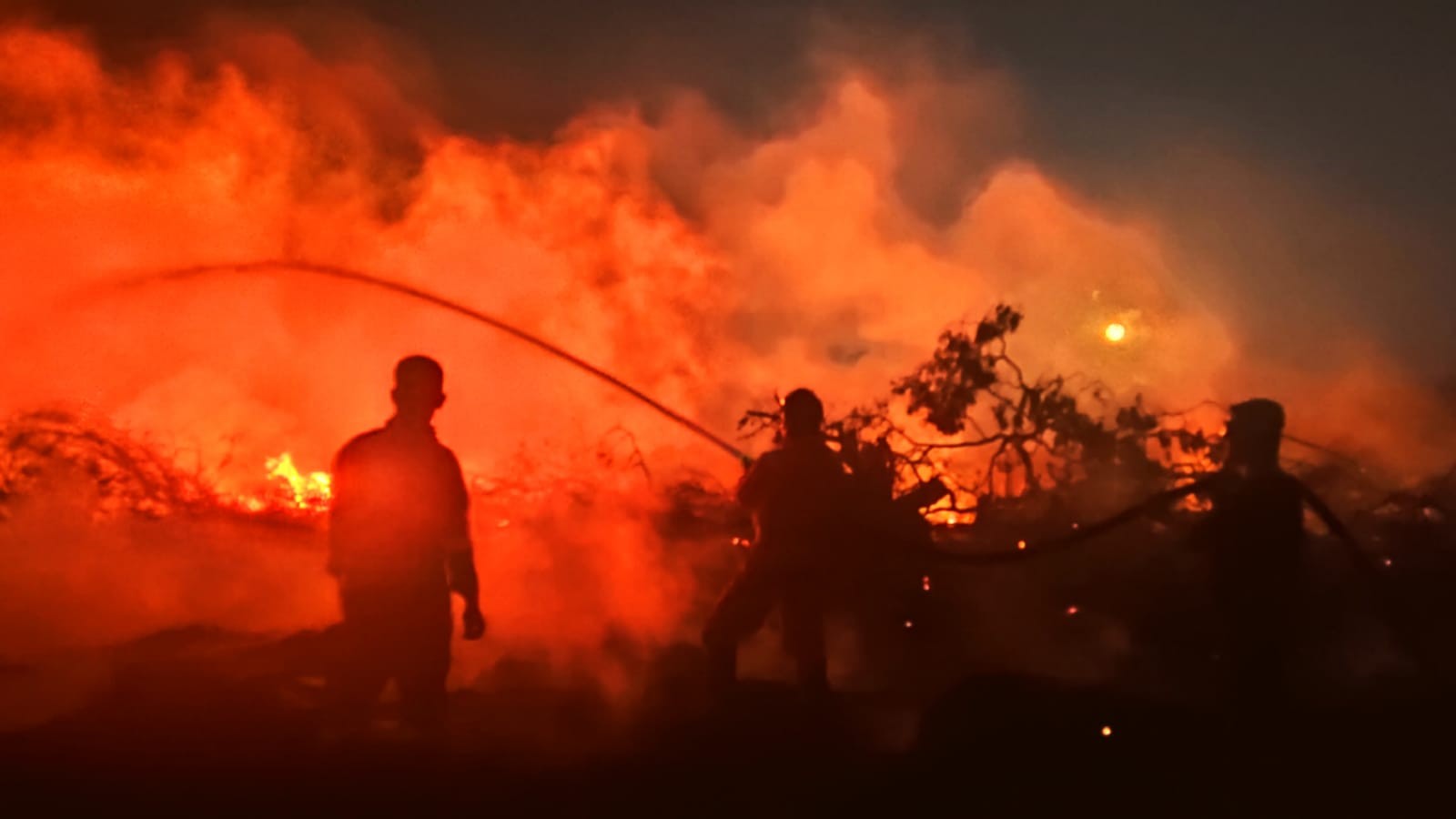 Tim Damkar PT Timah Tbk Sigap Bantu Padamkan Kebakaran Lahan di Romodong   