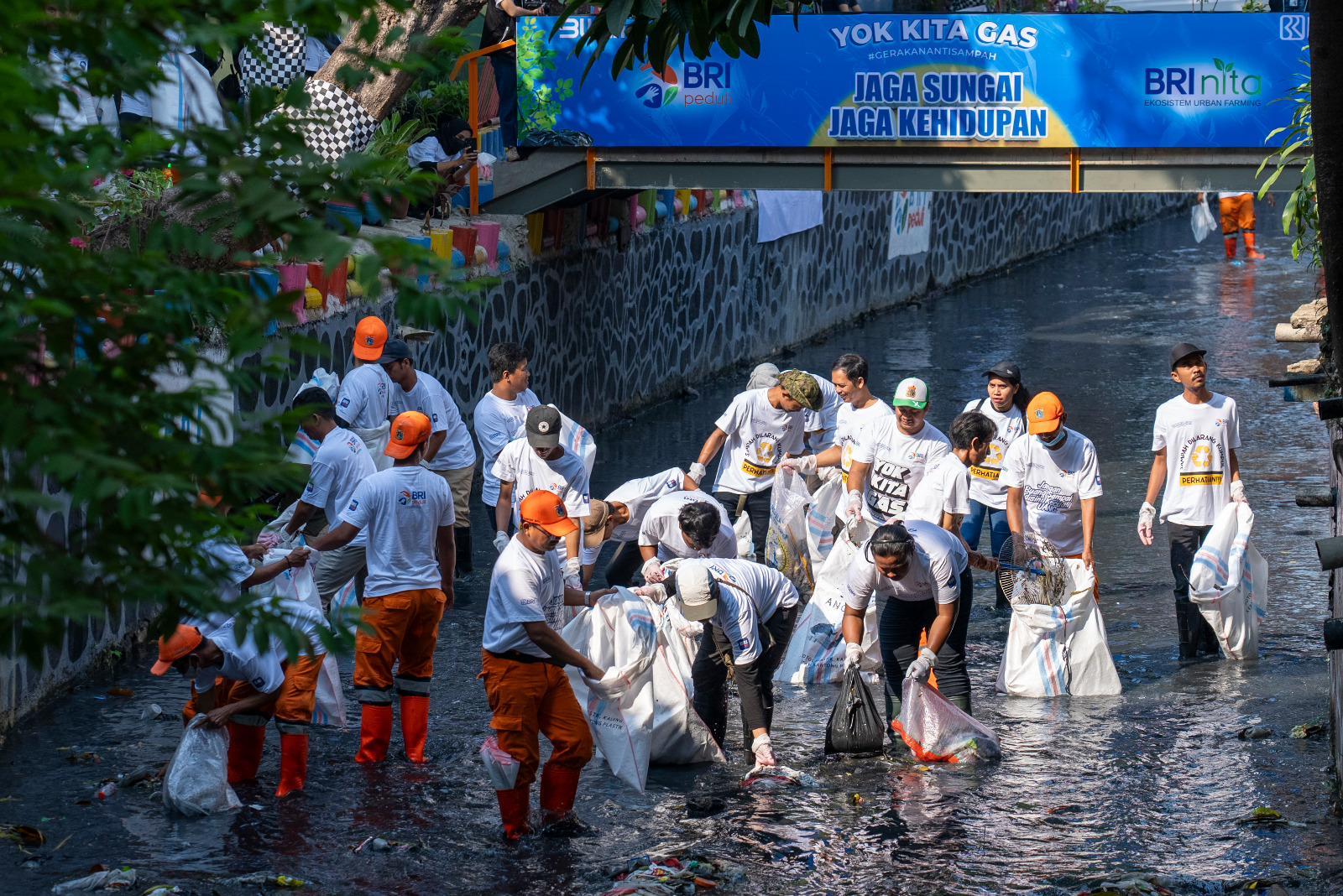 BRI Peduli Jadikan Kampung Bali Percontohan dalam Menjaga Ekosistem Lingkungan di Tengah Kota Jakarta