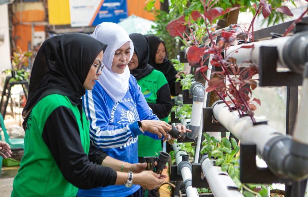 Berkat Program BRInita, Kelompok PKK Rawa Barat Sukses Budidaya Hidroponik dan Ikan Nila