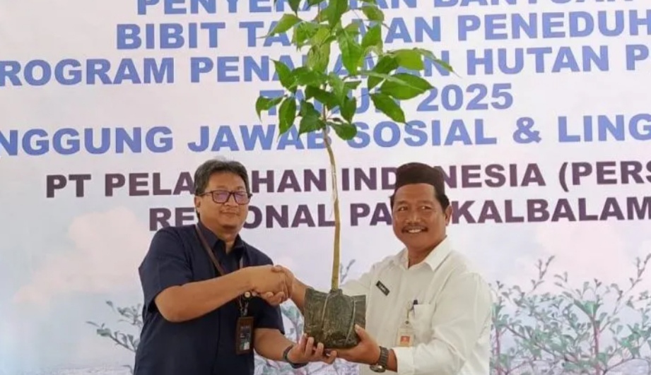 DLH Pangkalpinang Temukan Tanaman Manggis Klabang dinyatakan Punah