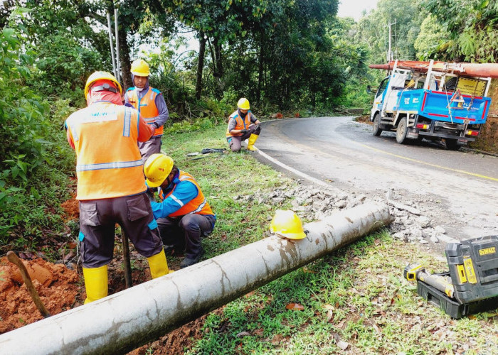 Bertahap, PLN Berhasil Pulihkan Kelistrikan Pascacuaca Ekstrem di Beberapa Wilayah Jawa Barat