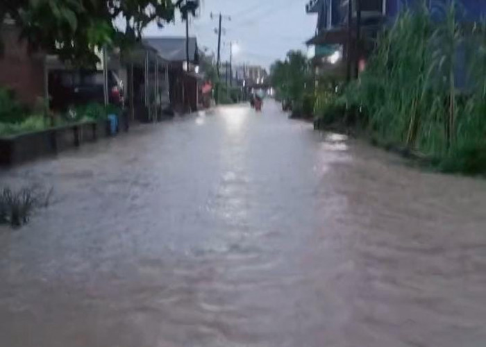 Hujan Lebat Angin Kencang Melanda Toboali, Dua Kelurahan Banjir, Rawa Bangun Sepaha Orang Dewasa 