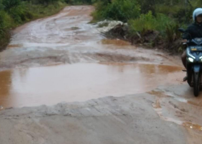 Jalan Pijal Melayu Luluh Lantak, Dilintasi Truk Sawit Hingga Alat Berat 