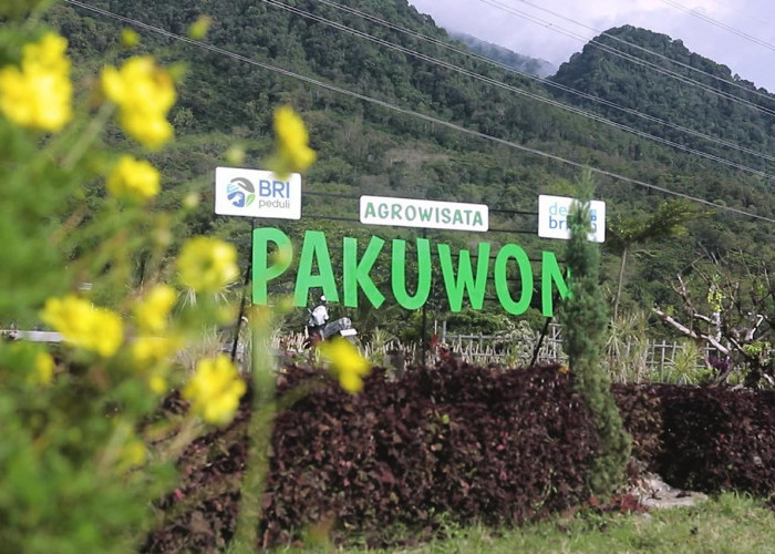 Lewat Program Desa BRILiaN, Desa Pajambon Jadi Contoh Transformasi Ekonomi Desa Berbasis Potensi Lokal