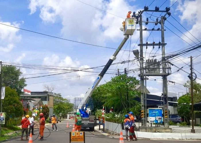 Jaga Keandalan Listrik, Tim PDKB PLN UP3 Bangka Laksanakan Pemeliharaan Tanpa Pemadaman