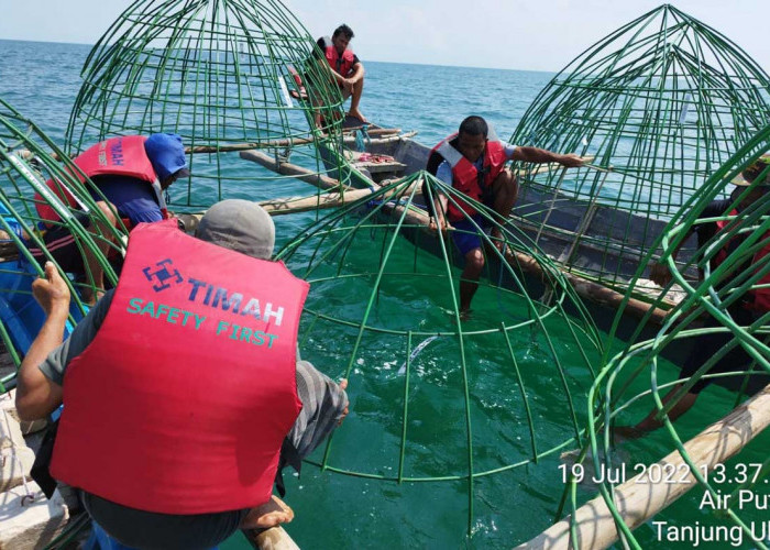 Menjaga Keseimbangan Ekosistem Laut dengan Reklamasi Laut 