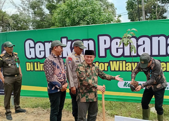 Kanwil Kemenag Babel Sumbang 3 Ribu Bibit Pohon Matoa
