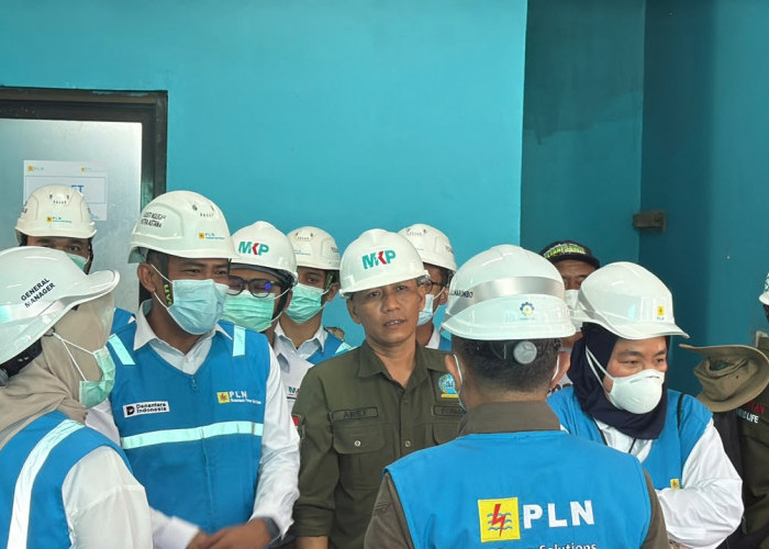 PLN Jadikan FABA untuk Pupuk, Babel Jadi Percontohan Dukung Ketahanan Pangan