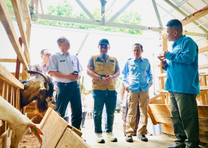 TJSL PLN UIW Bangka Belitung: Bukan Sekadar Filantropi, Tetapi Strategi Bisnis Berkelanjutan yang Terukur