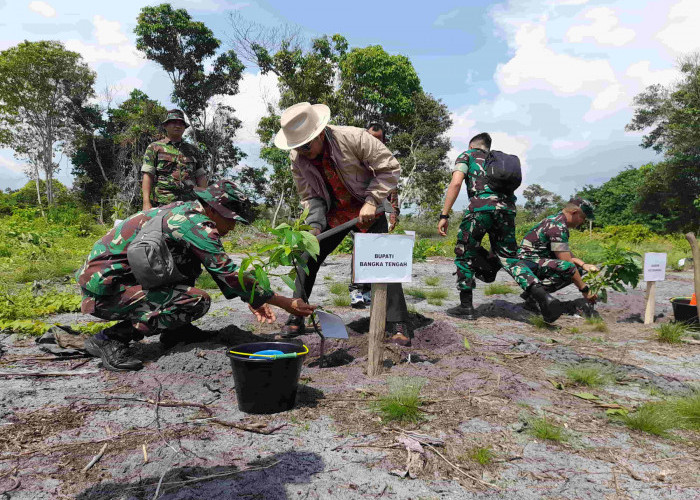 Hari Juang Kartika TNI AD, Lahan Desa Batu Beriga Ramai Ditanami Pohon
