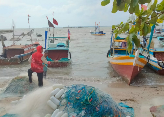 Nekat Melaut Musim Angin, Hasil Ikan Nelayan Batu Perahu Masih Lumayan