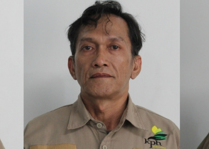 Setelah Ryan Susanto, Kini Pejabat KPH Bubus Rahadian Ekaputra Jadi Terdakwa Tambang Ilegal Hutan Belinyu