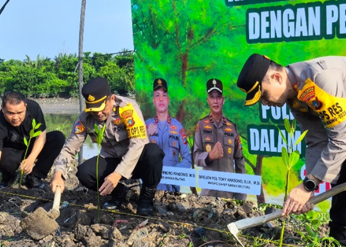 Peringati HUT ke-79 Bhayangkara, Polresta Pangkalpinang Tanam 200 Bibit Pohon Bakau di Lahan Bekas Tambang