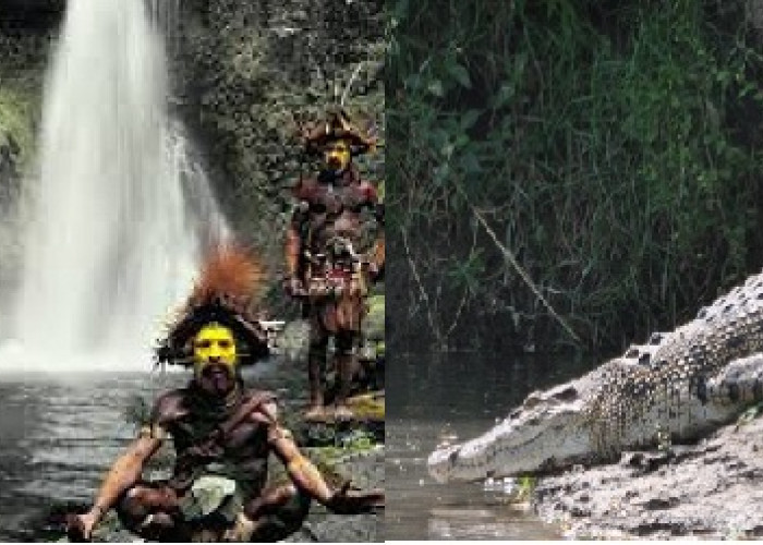Ketika yang Lain Menghindari, Suku Bauzi Papua Malah Berburu Buaya Muara Hingga Buaya Darat