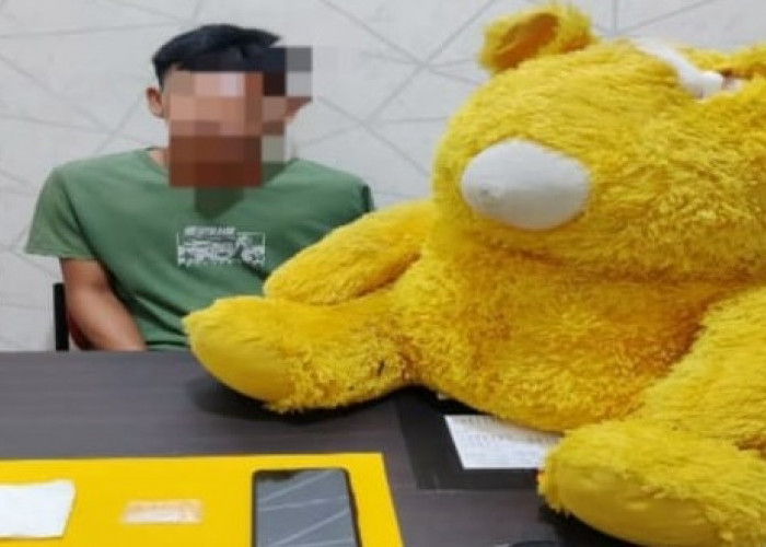 'Main' Pakai Boneka, Joko Diciduk Sat Resnarkoba